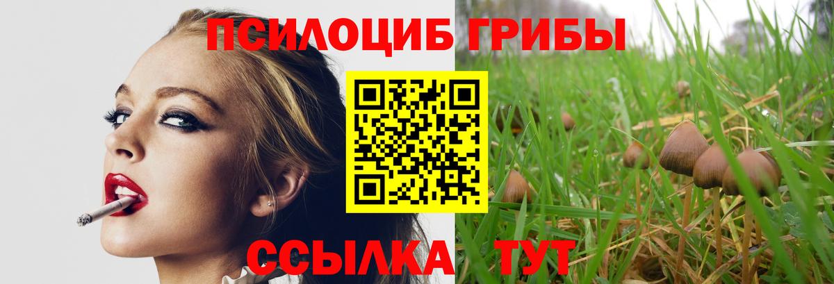Псилоцибиновые грибы мухоморы  Псилоцибиновые грибы мицелий  Добрянка  Вход с VPN 